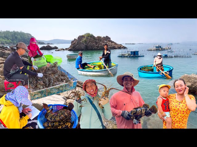 Vịnh Nuôi Hải Sản Lớn Nhất Phú Yên | Chợ Vũng La Họp Trên Con Dốc