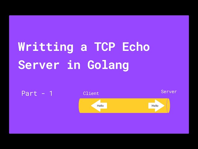 Writing a simple TCP Echo Server in Golang | Socket Programming  | Hindi | TheShareefCoder