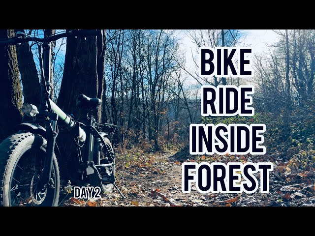 HIKING IN FOREST| CAMPFIRE COOKING | Bushcraft |Vlog 03 | ASMR