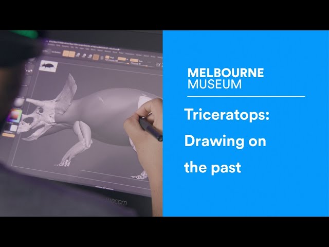 Triceratops: Drawing on the past