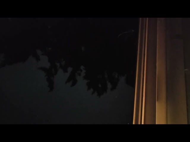 🦉  owls talking to eachother above my house ♡ volume up! super loud!