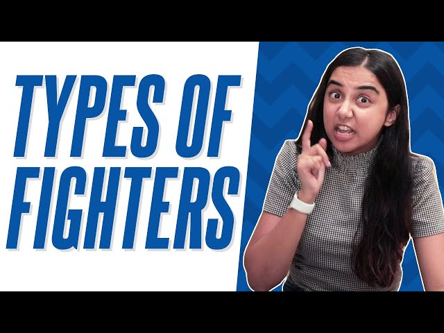 Types of Fighters | MostlySane
