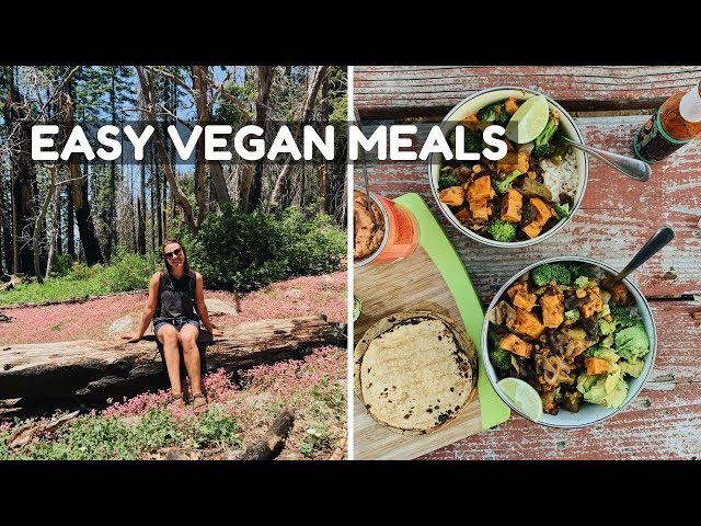 What I Ate While Camping (in a Van!)