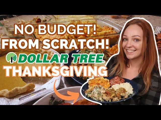 Dollar Tree Thanksgiving Dinner from Scratch?!