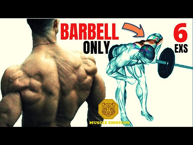 6 BEST BACK WORKOUT WITH BARBELL ONLY / Les meilleurs exs Musculation Dos avec barre