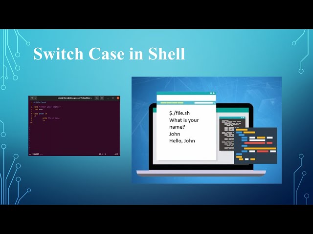 How to use Switch Case statements in Bash Programming in Linux #shellscripting