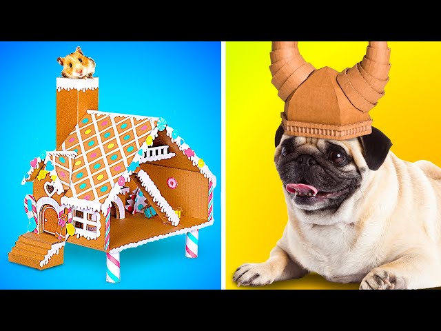 Festive Crafts For Pets || Hamster Gingerbread House And Pet Viking Helmet