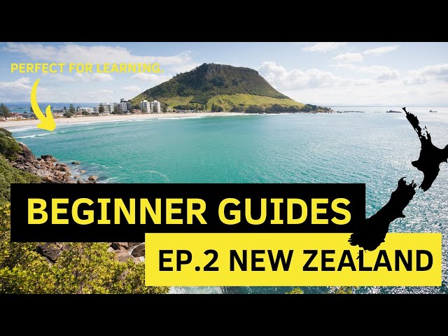 Best BEGINNER Surf Spots NEW ZEALAND (Beginner Guides: Episode 2)!