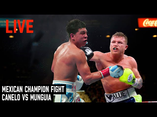 Canelo vs Munguia Fight | Boxing News Today