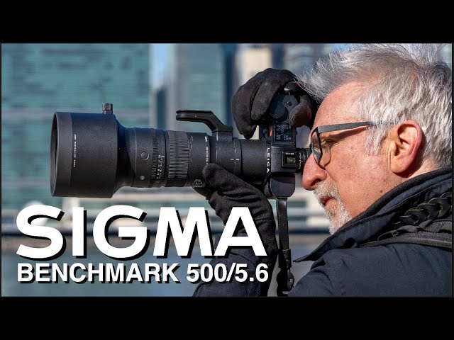 Sigma 500mm f/5.6 DG DN: New BENCHMARK in Super Telephotos!