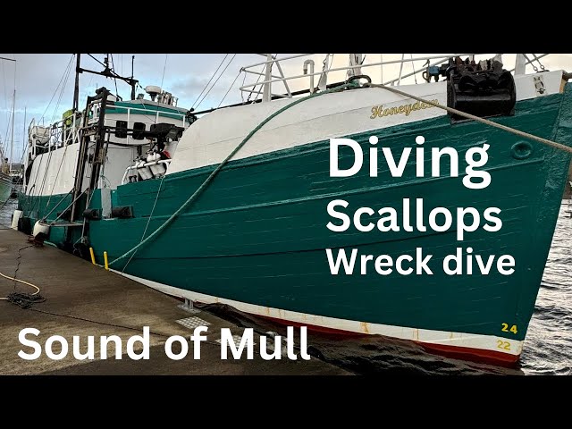 Liveaboard sound of mull : Scallops, reefs and a wreck dive
