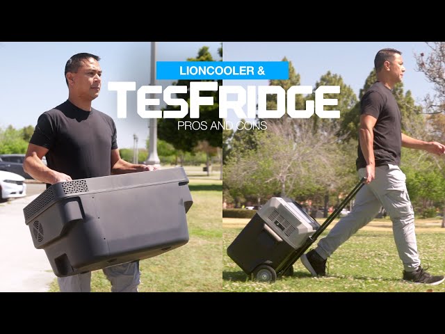 ACOPOWER TesFridge & LionCooler First Look Review - Model 3, Y and X