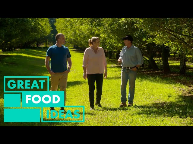 Macadamia Farm | FOOD | Great Home Ideas