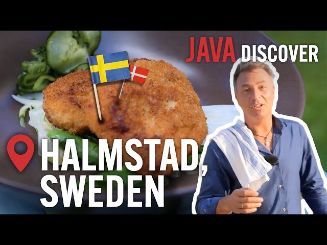 Swedish Food Tour: Cooking in Halmstad | Nordic Cookery with Tareq Taylor Travel Documentary
