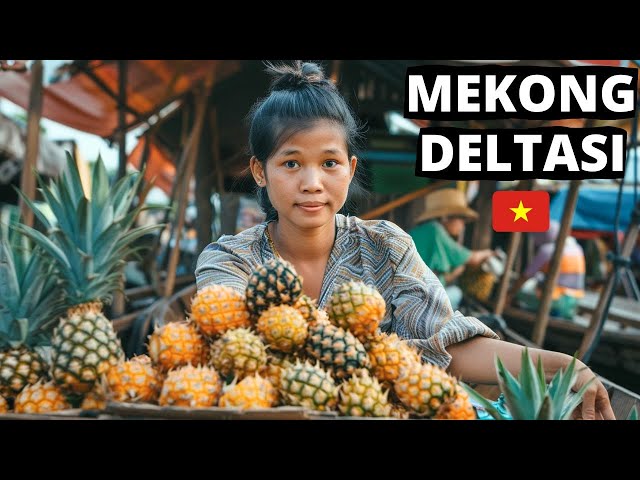 Do You Know What This Means? Life inside Mekong Delta Vietnam 🇻🇳