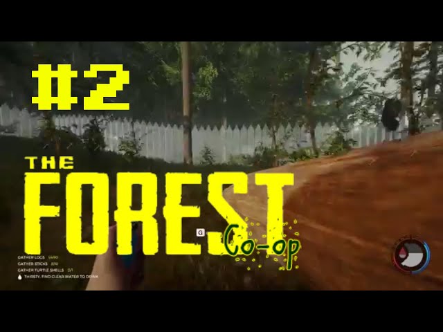 Project: Muurtje - The Forest Co-op (Part 2)
