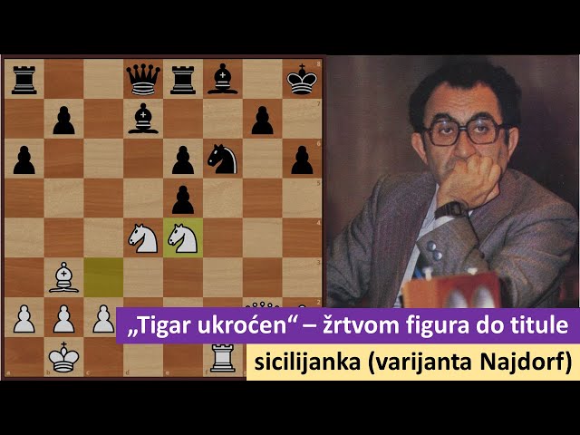 Tigar ukroćen - žrtvom figura do titule svetskog prvaka - siclijanska odbrana (varijanta Najdorf)