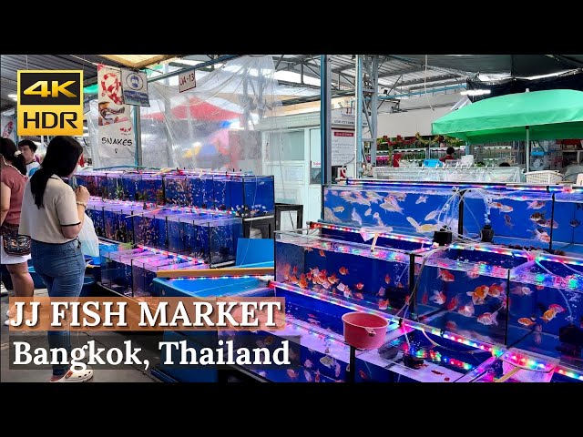 [BANGKOK] Chatuchak Fish Market "Largest Fish Market In Bangkok!" | Thailand [4K HDR Walking Tour]