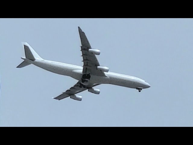 No Livery, Airbus A340-300 landing at Phnom Penh International Airport 2020| OO-ABE