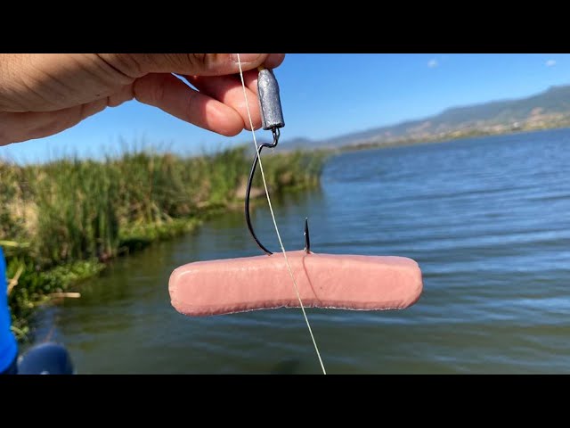 Será Posible Pescar con Salchichas? | Reto de Pesca!!