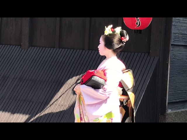 祇園 舞妓（Maiko）小衿さんも一力亭に駆けつける