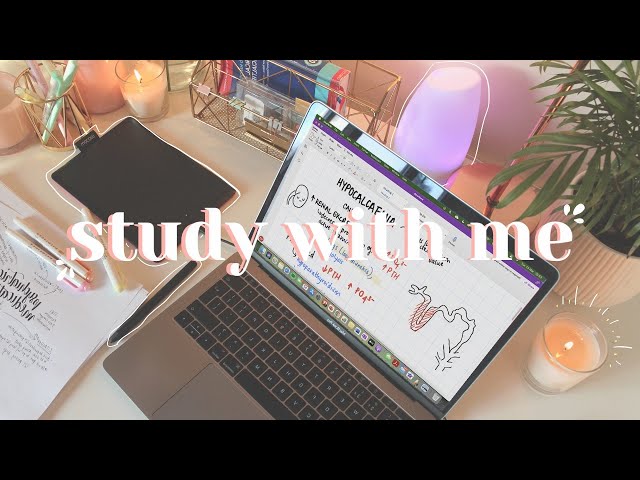 study with me for med finals using a pen tablet ✏️✨ lofi chill music