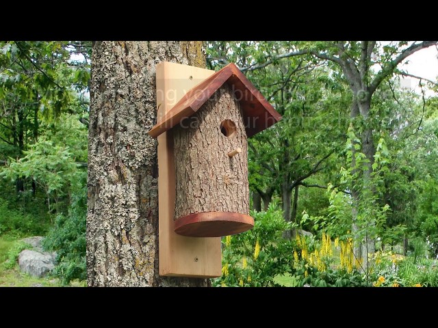 Homemade Bird Houses from a Natural Log (DIY Nesting Bird Box)