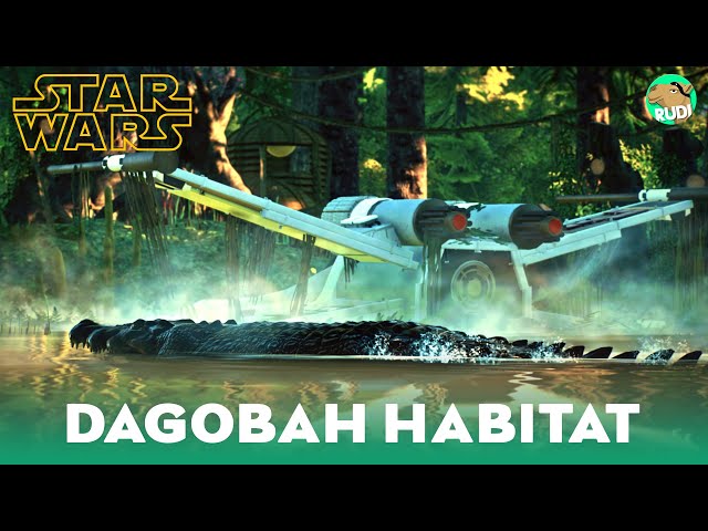DAGOBAH X-WING Crocodile Habitat - Star Wars May the 4th Special - Planet Zoo SpeedBuild