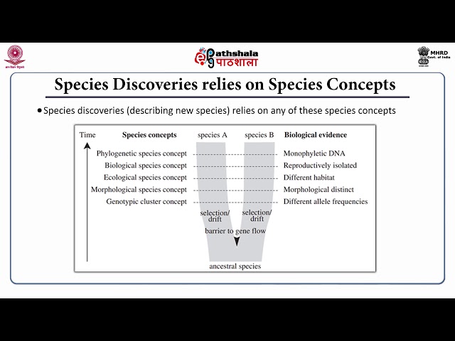 Process of Speciation
