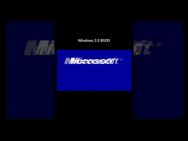 Windows 2.0 BSOD