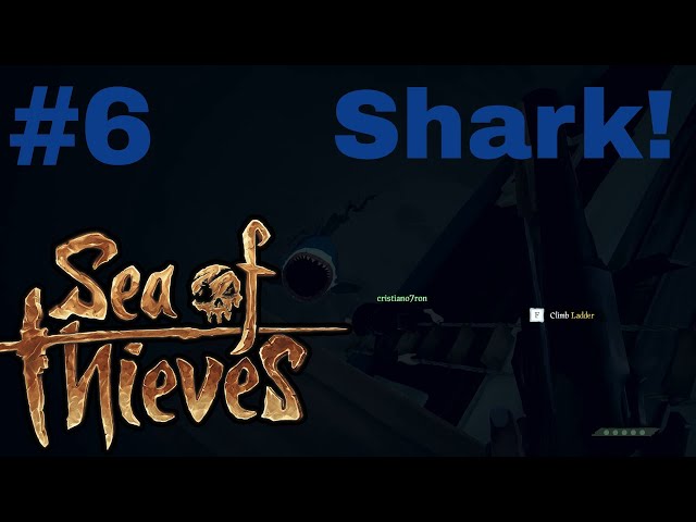 Shark! - Sea of Thieves Closed Beta #6