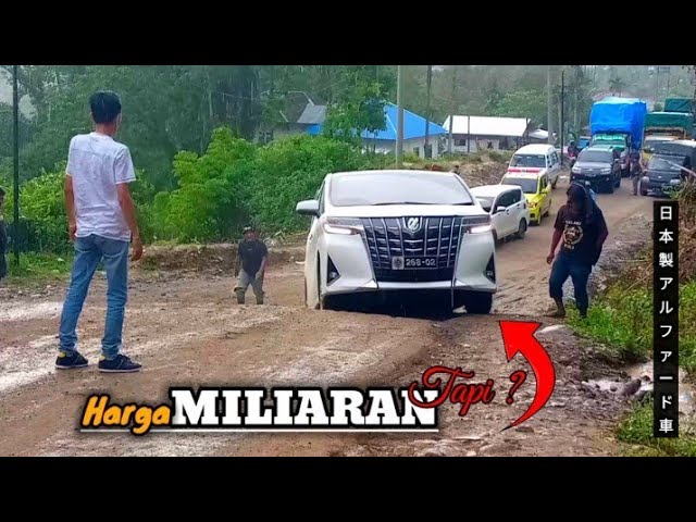 ALPHARD cars cost billions of rupiah but their power is weak