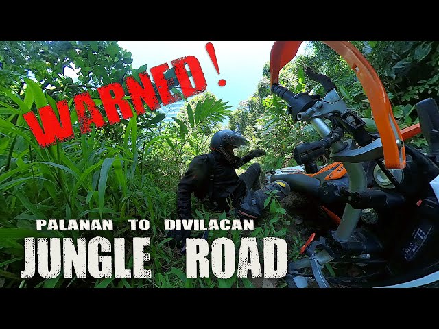 Palanan to Divilacan Jungle Road | Solo Riding Adventures