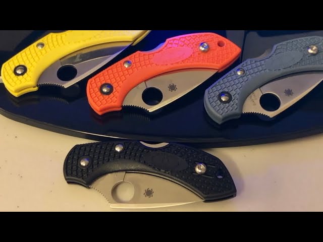 Spyderco Dragonfly 2 Unboxing