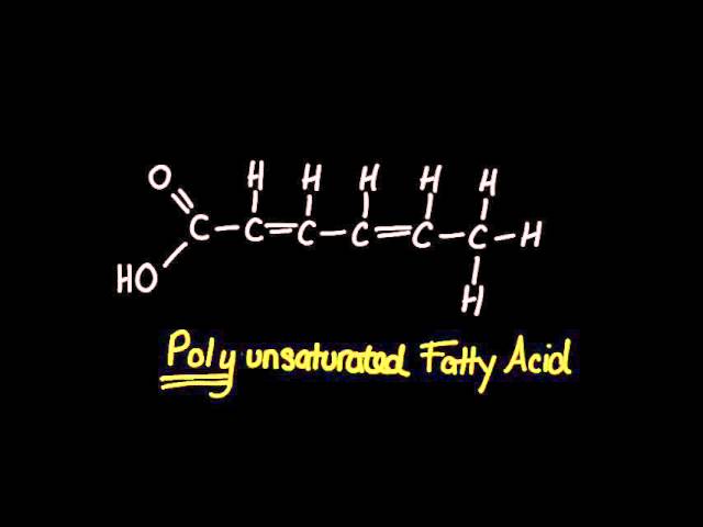 2.3 Saturated, Monounsaturated and Polyunsaturated Fatty Acids