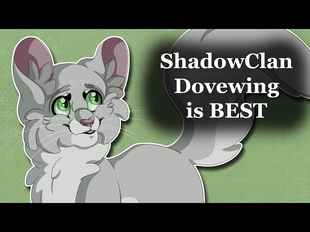 Why Dovewing was RIGHT to leave ThunderClan | Warrior Cats