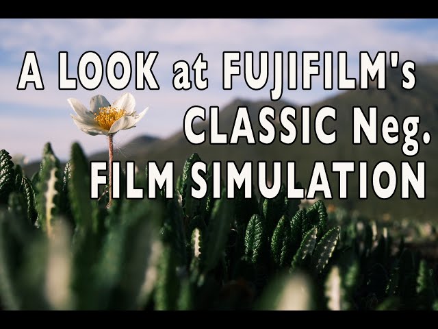 A Look at FUJIFILM'S CLASSIC Neg. Film Simulation