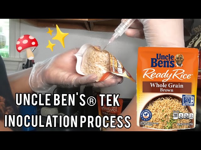 My UNCLE BEN'S® Gourmet Mushroom Spore Syrunge Inoculation Process
