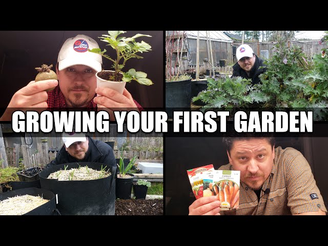 Growing Your First Garden In 2022