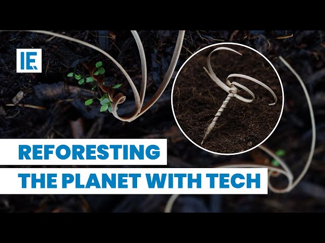 Small Robot That Can Reforest The Whole Planet