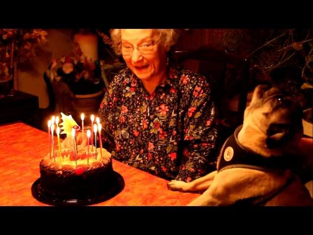 Mischief Sings Happy Birthday to Grandma 3