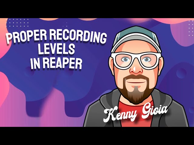 Proper Recording Levels in REAPER