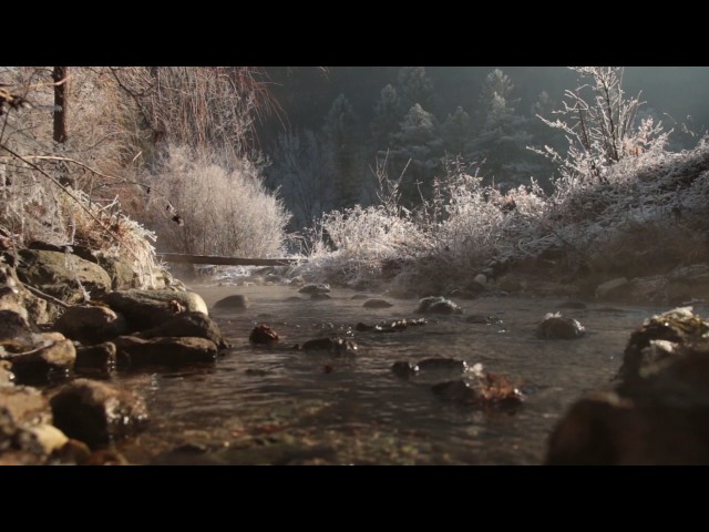 Gentle Sound of a Small Stream 1 Hour / Morning Frost and Water Mist