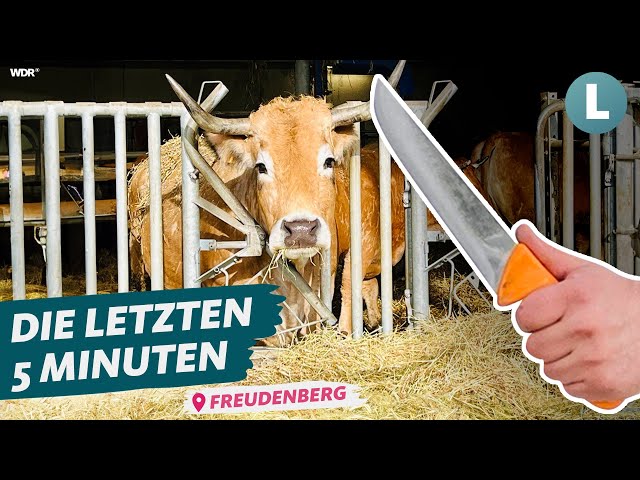 Schlachten direkt am Hof: Das Schlachtmobil | WDR Lokalzeit Land.Schafft.