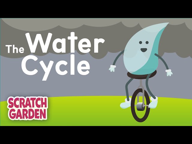 The Water Cycle Song | Science Songs | Scratch Garden