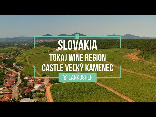 Tokaj Wine Region | Veľký Kamenec | Slovakia | Drone Video | Film z Drona | 2022