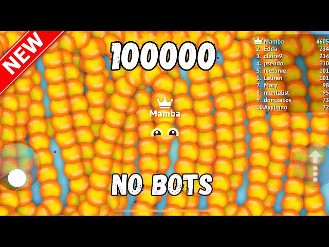 100000 score in Snake.io Best snake gameplay. No bots