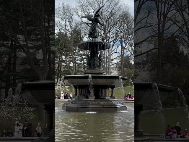 Bethesda Fountain in Central Park #nyc #centralpark #iloveny