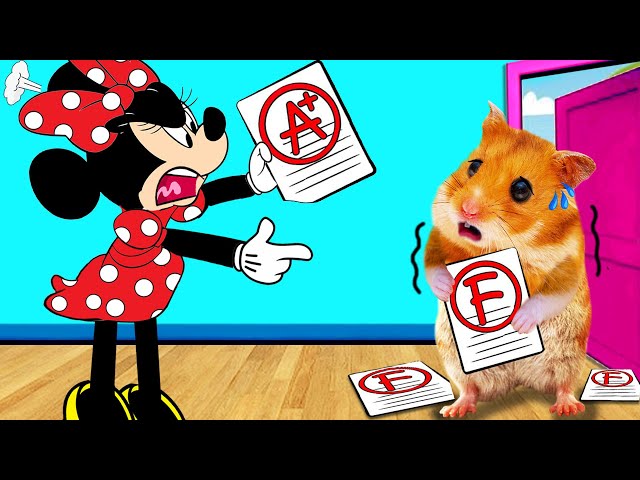 So Sorry Minnie! Hamster Will Be A Good Student | Life Of Pets HamHam