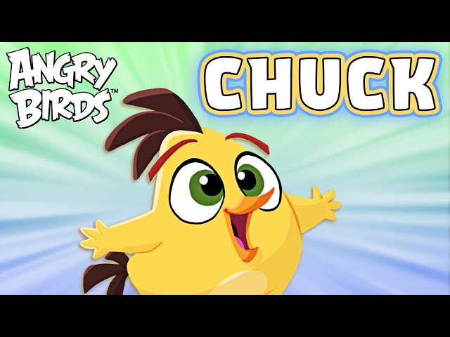 Angry Birds | Spend The Day With Chuck! 💨